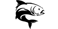Pescuit